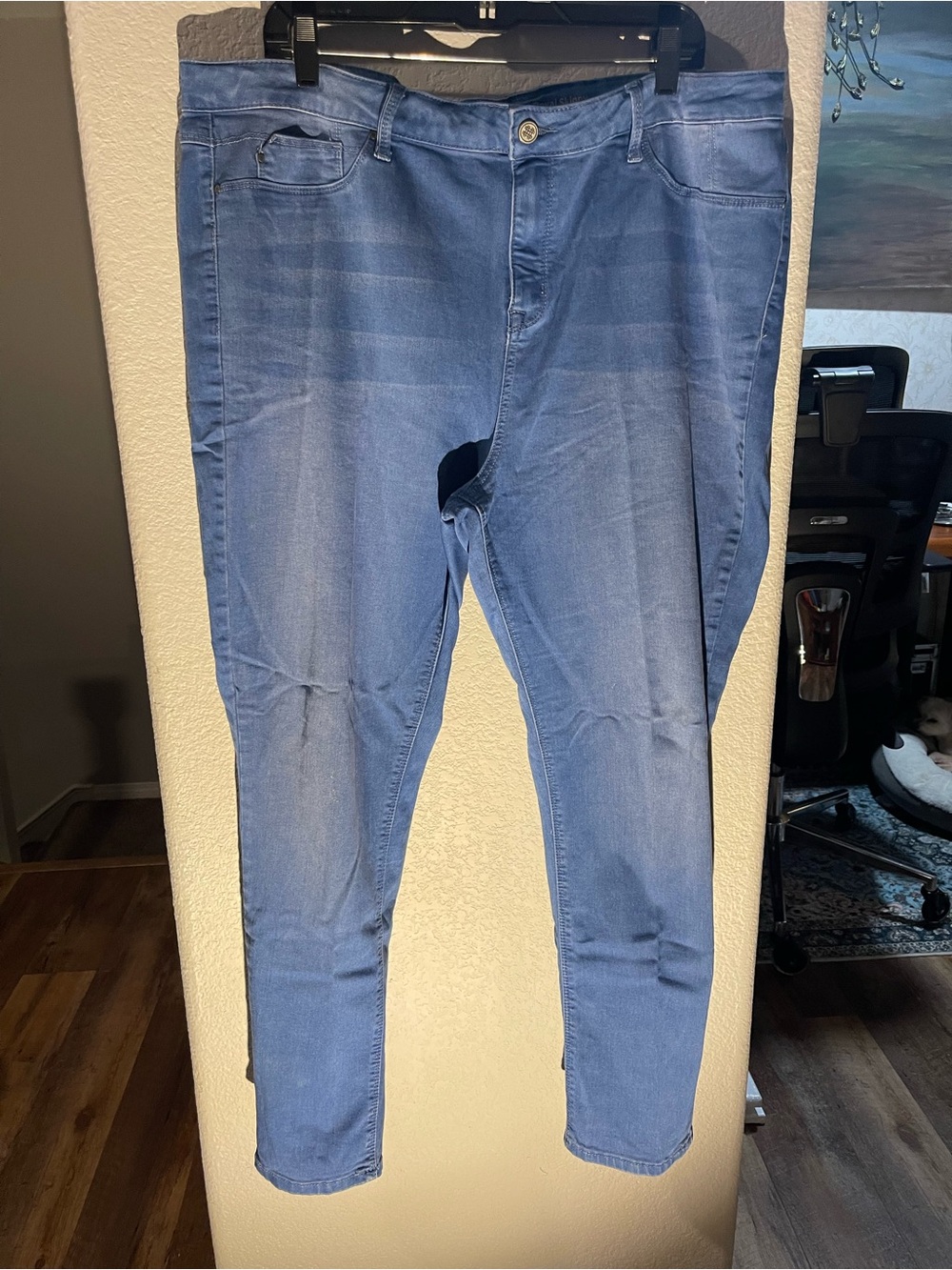 Laurie Felt Women’s Skinny Jeans in Light Blue Wash